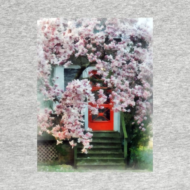 Spring - Magnolia by Red Door by SusanSavad